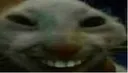 xdd