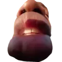 wys