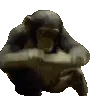monkeriot monkeriot