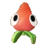 strabbypls