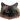 angrycat