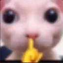 catshush Discord Emoji