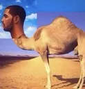 drake