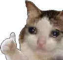 Cat Thumbs Up catthumbsup Discord Emoji
