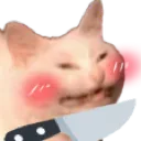 Catblushing Knife Discord Emoji