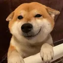 doggosmile