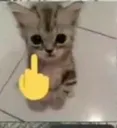 eWB_emoji_237