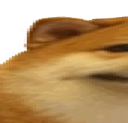 widedoge1 Discord emoji