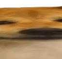 widedoge2 Discord emoji