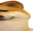 widedoge3 Discord emoji