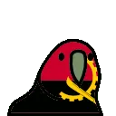 AngolanParrot