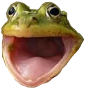 FROGCHAMP FROGCHAMP