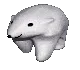 CutiePolarBear