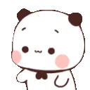 pandawhy
