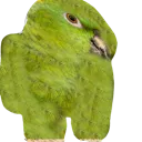 barney_sussybirb barney_sussybirb