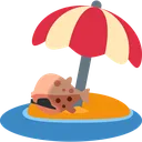 blowfish_chilling_at_the_beach