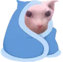 binguscozy