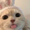 blep