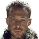 gosling