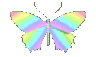 butterfly5