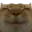 comocum