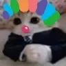 highiqclownbusiness