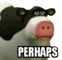 perhaps