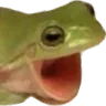 froggers
