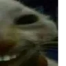 xdd2