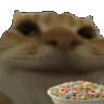 catcerealnoms
