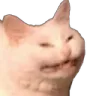 KEKcat