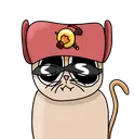 catAndy