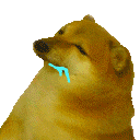whatthedogdoin Discord emoji