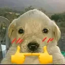 060_blushUWU Discord Emoji