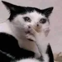 077_crysorprendido Discord Emoji