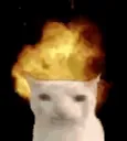 catboom