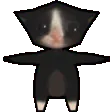 ch_kittenspin