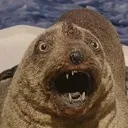AAAA