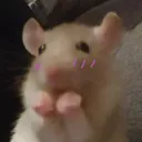teehee