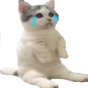 catsittingverycomfortablebutsad