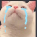 cen_catcri Discord emoji