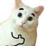 CatThumbsUp