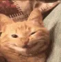 catsmiletest