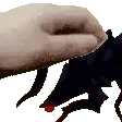 y_aKrillPat
