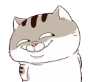 slycat