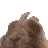tdance Discord emoji