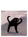 dancing_cat Discord emoji