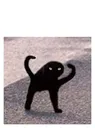 Dancing Cat dancing_cat Discord Emoji