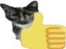 chupasnt