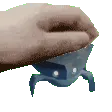 PatTheRealCrab
